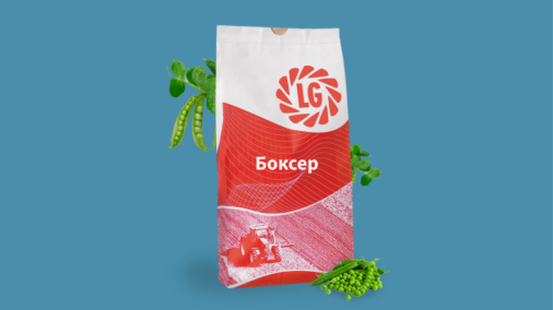 БОКСЕР