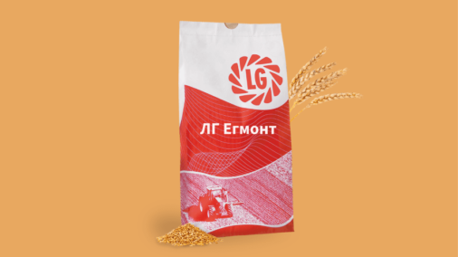 ЛГ ЕГМОНТ