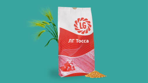 ЛГ ТОССА
