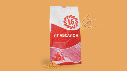 ЛГ АБСАЛОН