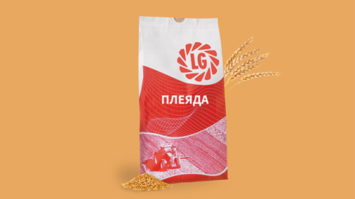 ПЛЕЯДА