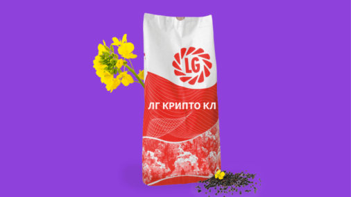 ЛГ КРИПТО КЛ