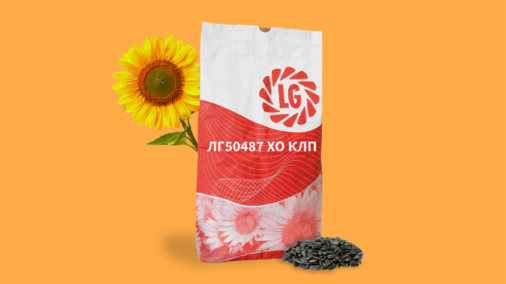 ЛГ50487 ХО КЛП