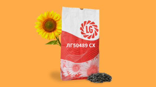 ЛГ50489 СХ
