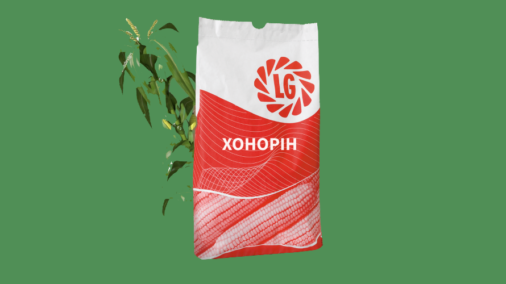 ХОНОРІН