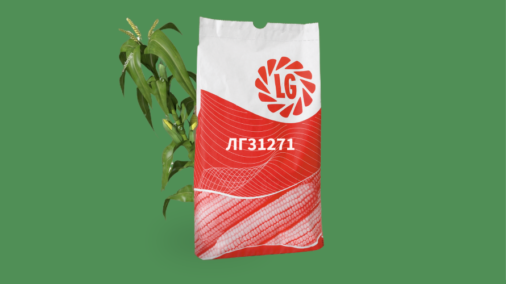 ЛГ31271