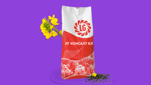 ЛГ КОНСАЛТ КЛ