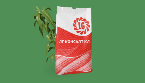 ЛГ КОНСАЛТ КЛ